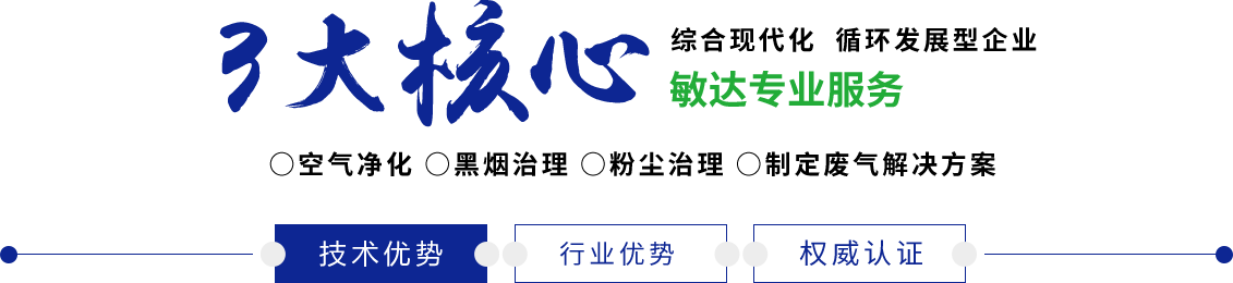 骚货老师被操视频在线观看敏达环保科技（嘉兴）有限公司